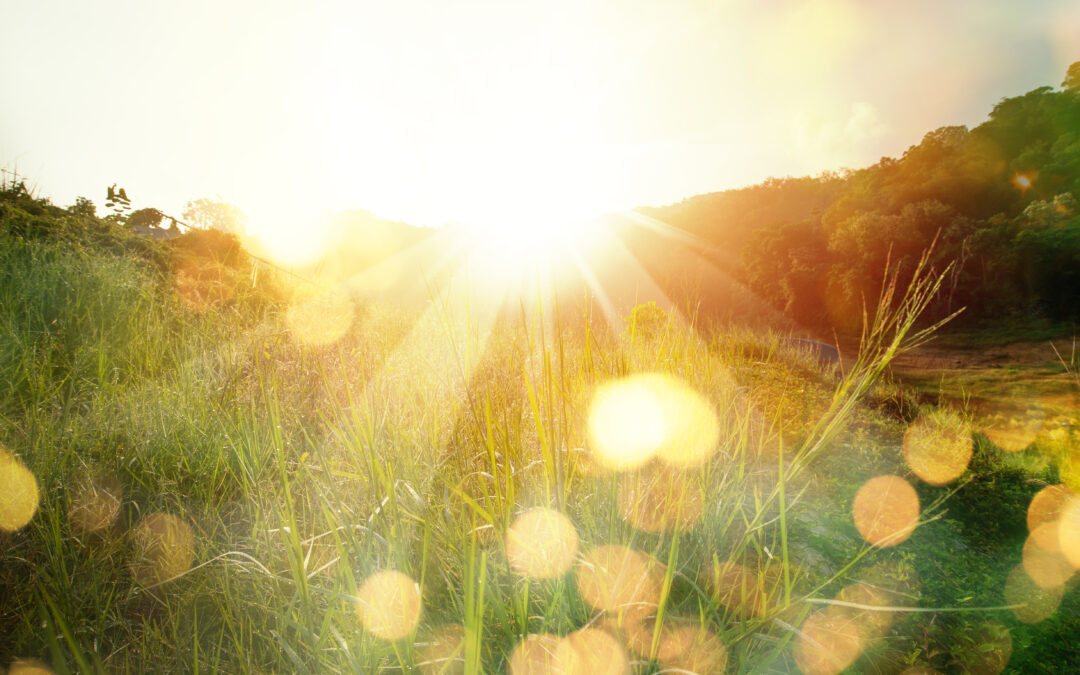 Finding Calm in Chaos: Navigating Stress Through Awareness