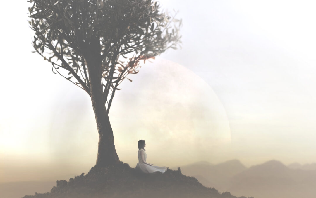 Embrace Your Journey to Transformation with Way of Awareness