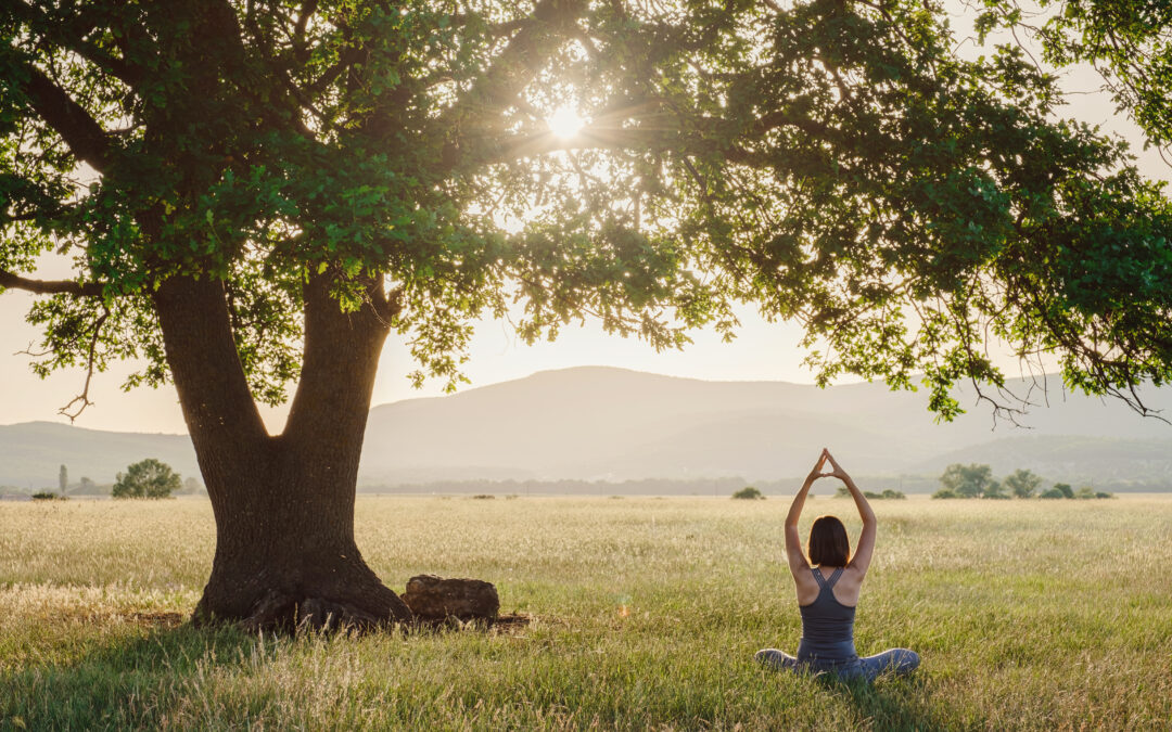 The Science of Awareness: How Mindful Practices Foster Sustainable Growth