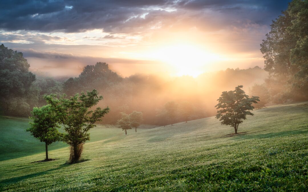 Riding the Emotional Waves: Cultivating Compassionate Awareness