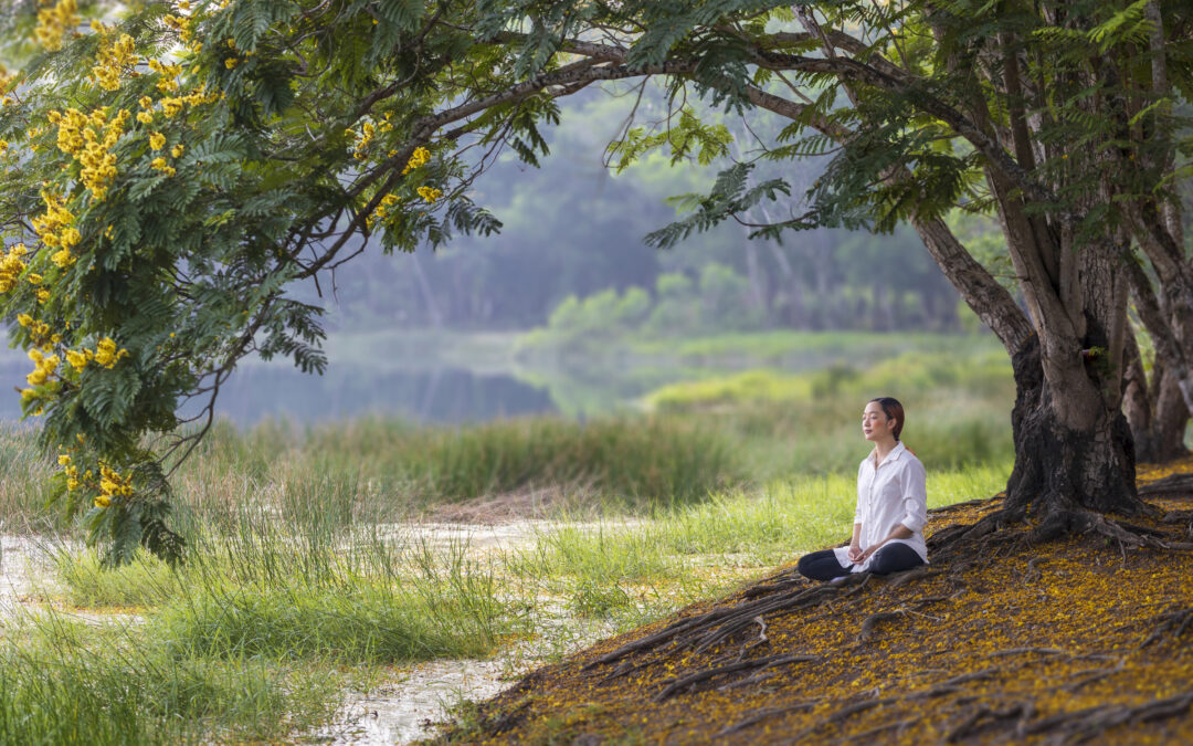 Pause, Breathe, and Discover What’s Alive Within You: A Journey into Presence and Mindfulness
