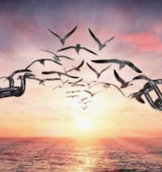 Forgiveness as a Path to Emotional Healing: Shift Perception to Free Your Heart and Mind