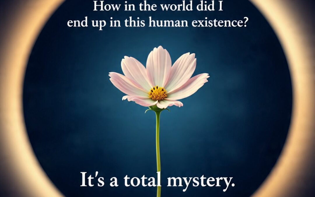 How to Practice Awareness When You Feel Stuck in Old Emotional Patterns